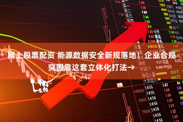 网上股票配资 能源数据安全新规落地！企业合规突围靠这套立体化打法→