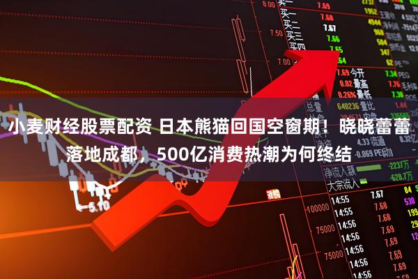 小麦财经股票配资 日本熊猫回国空窗期！晓晓蕾蕾落地成都，500亿消费热潮为何终结