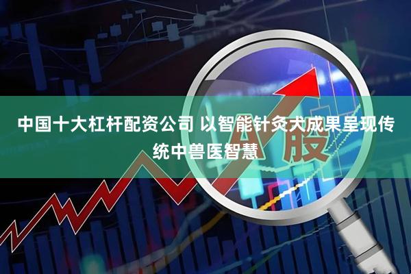 中国十大杠杆配资公司 以智能针灸犬成果呈现传统中兽医智慧