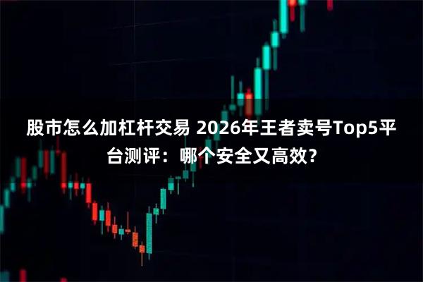 股市怎么加杠杆交易 2026年王者卖号Top5平台测评：哪个安全又高效？